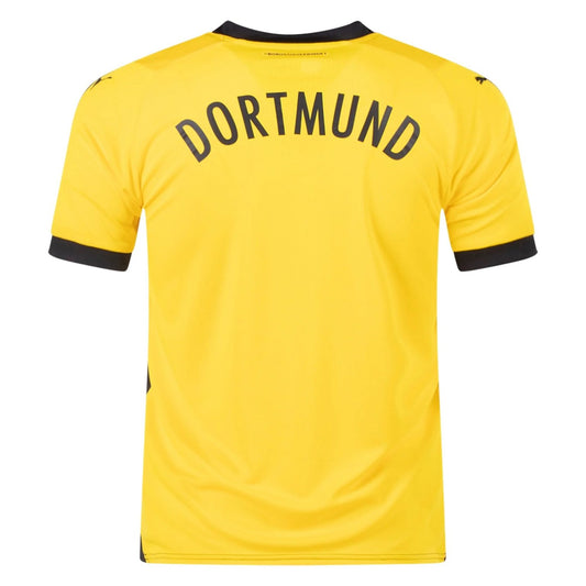 Dortmund Home 23/24