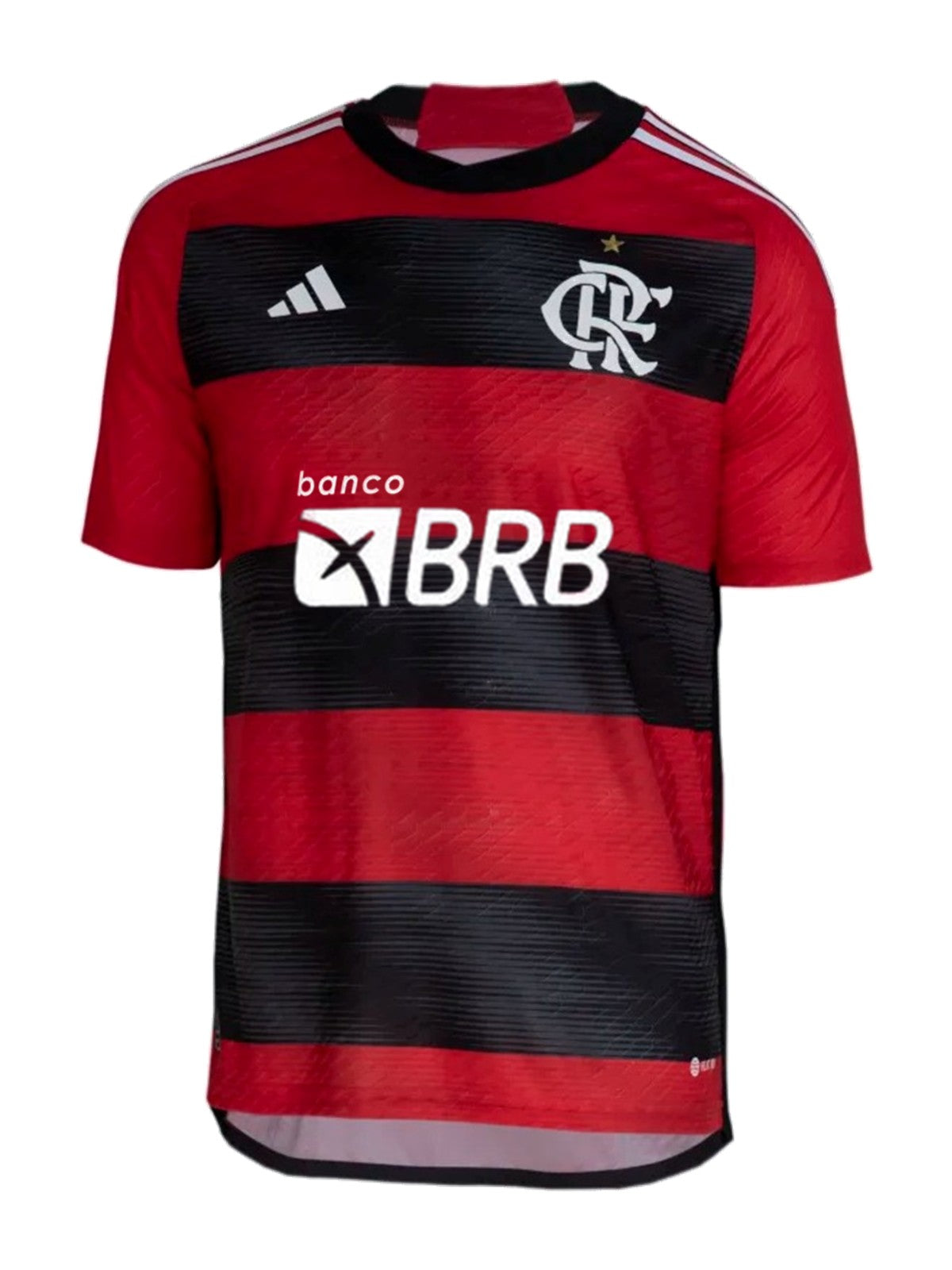 Flamingo Brazil 23